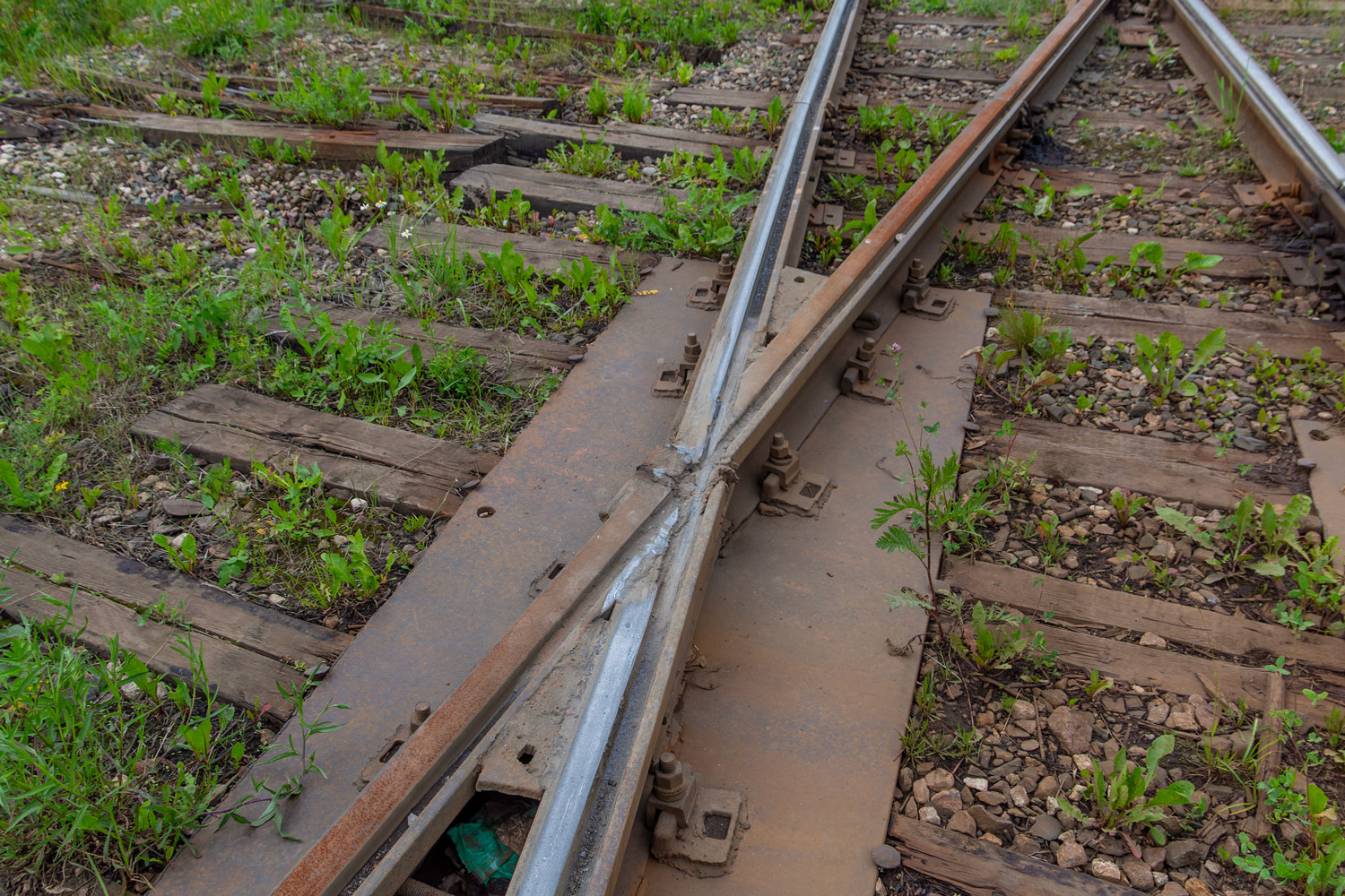 Yaroslavl — Tramway lines