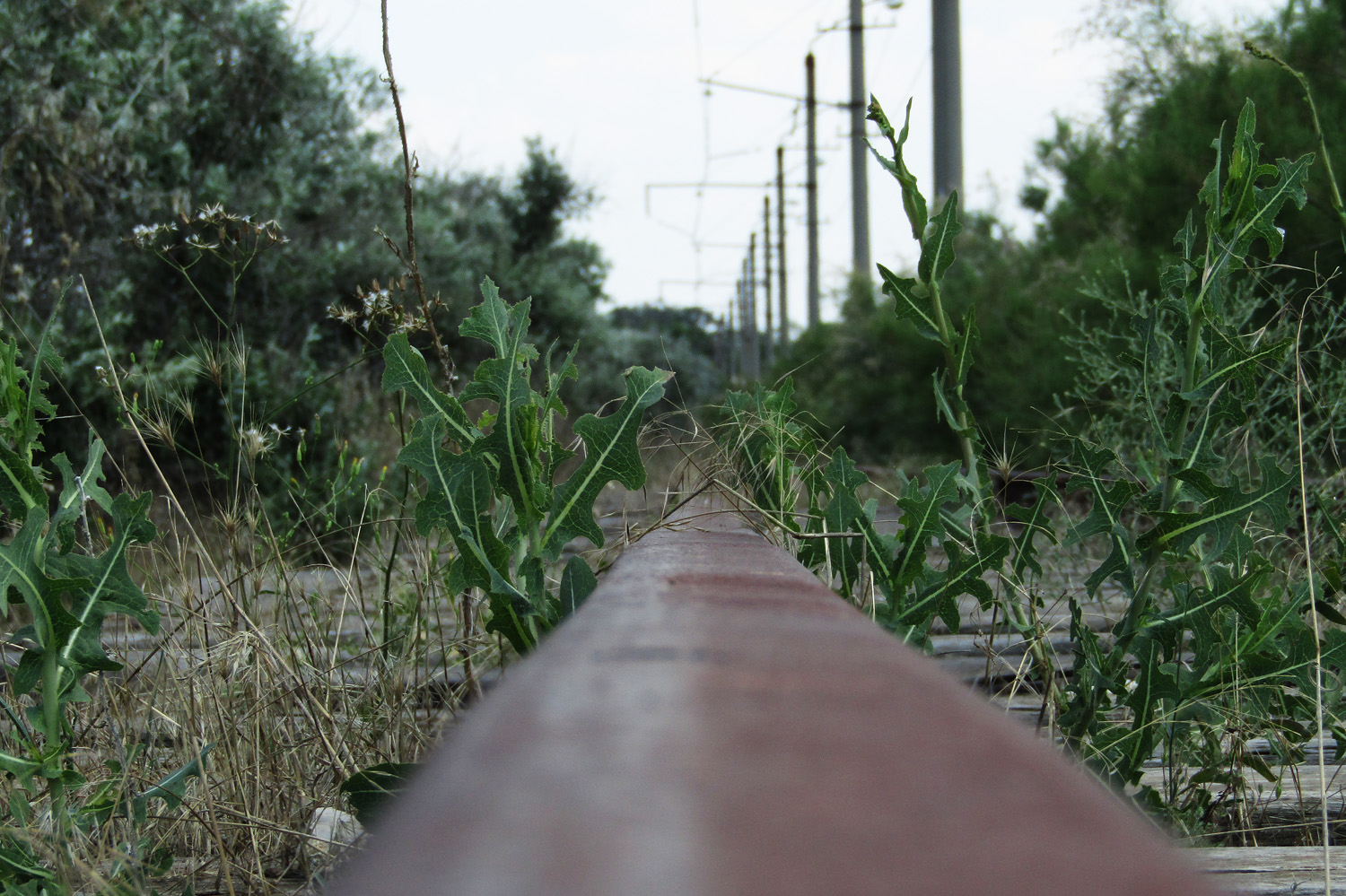 Moločné — Miscellaneous photos