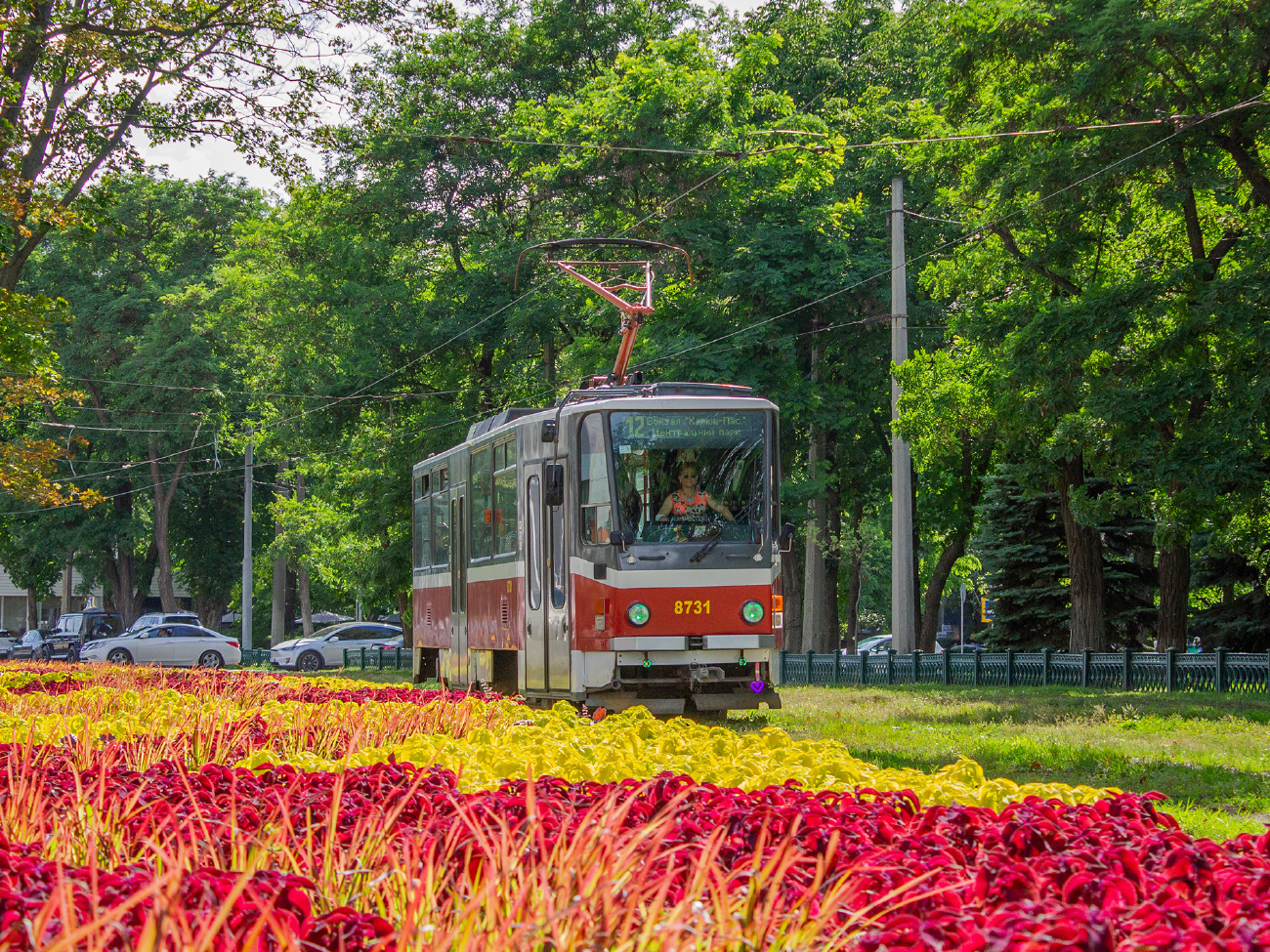 Харьков, Tatra T6A5 № 8731
