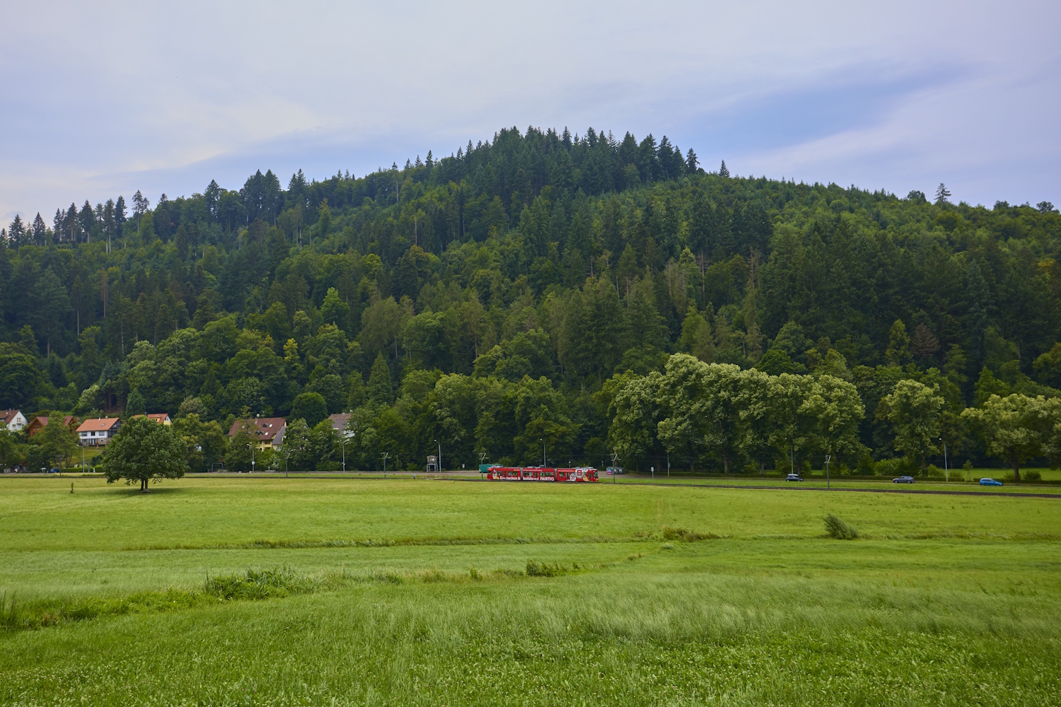 Fryburg Bryzgowijski — Tramway Lines and Infrastructure