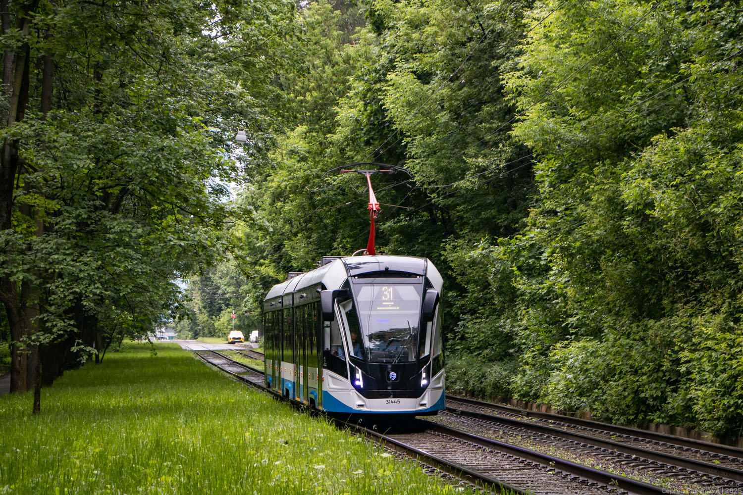 Москва, 71-931М «Витязь-М» № 31445