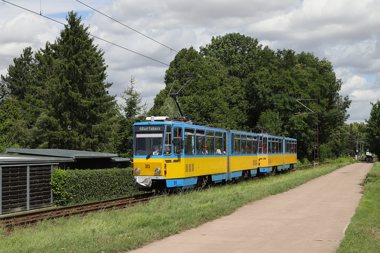 Гота, Tatra KT4DC № 313