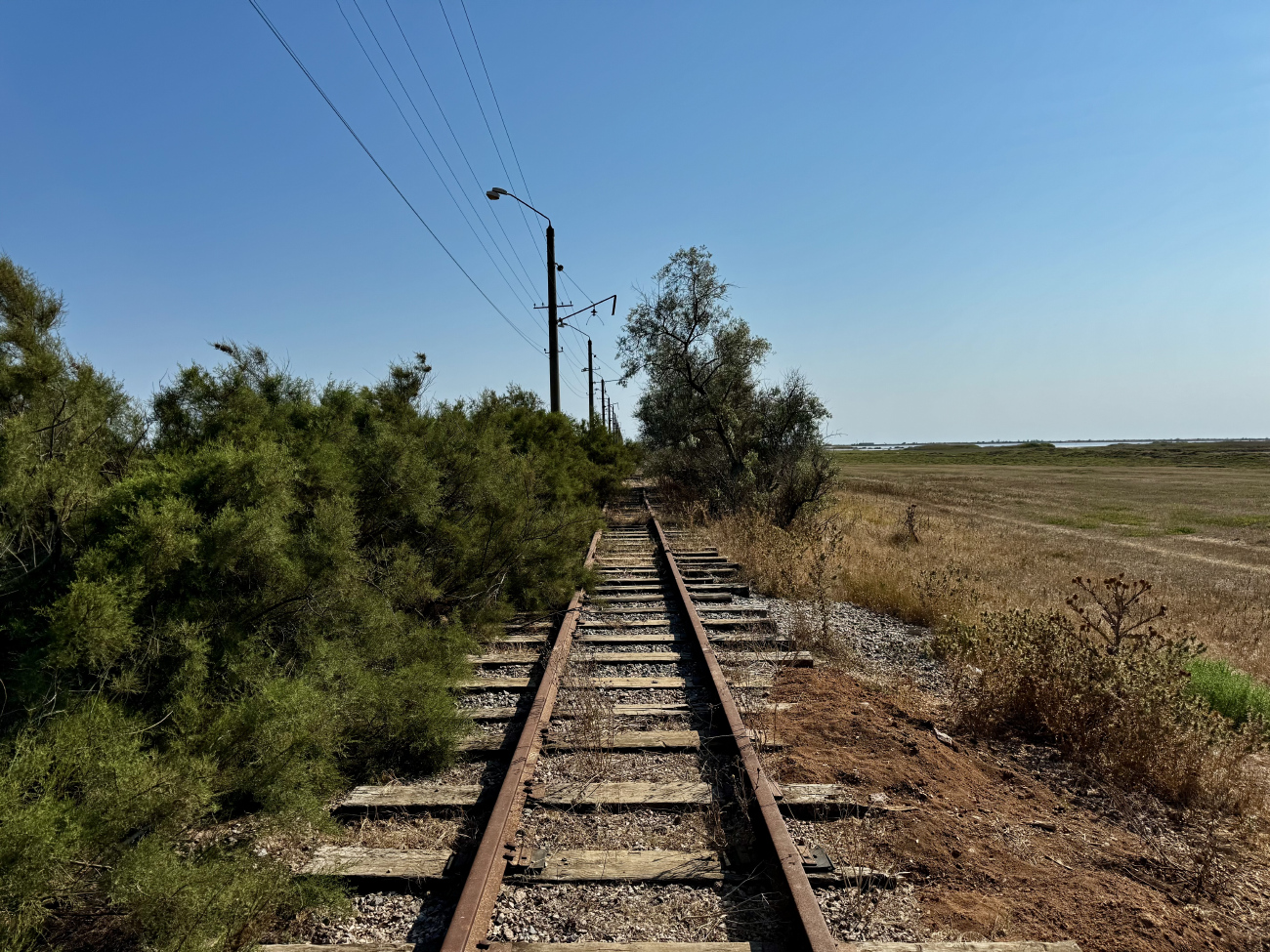 Молочное — Разные фотографии