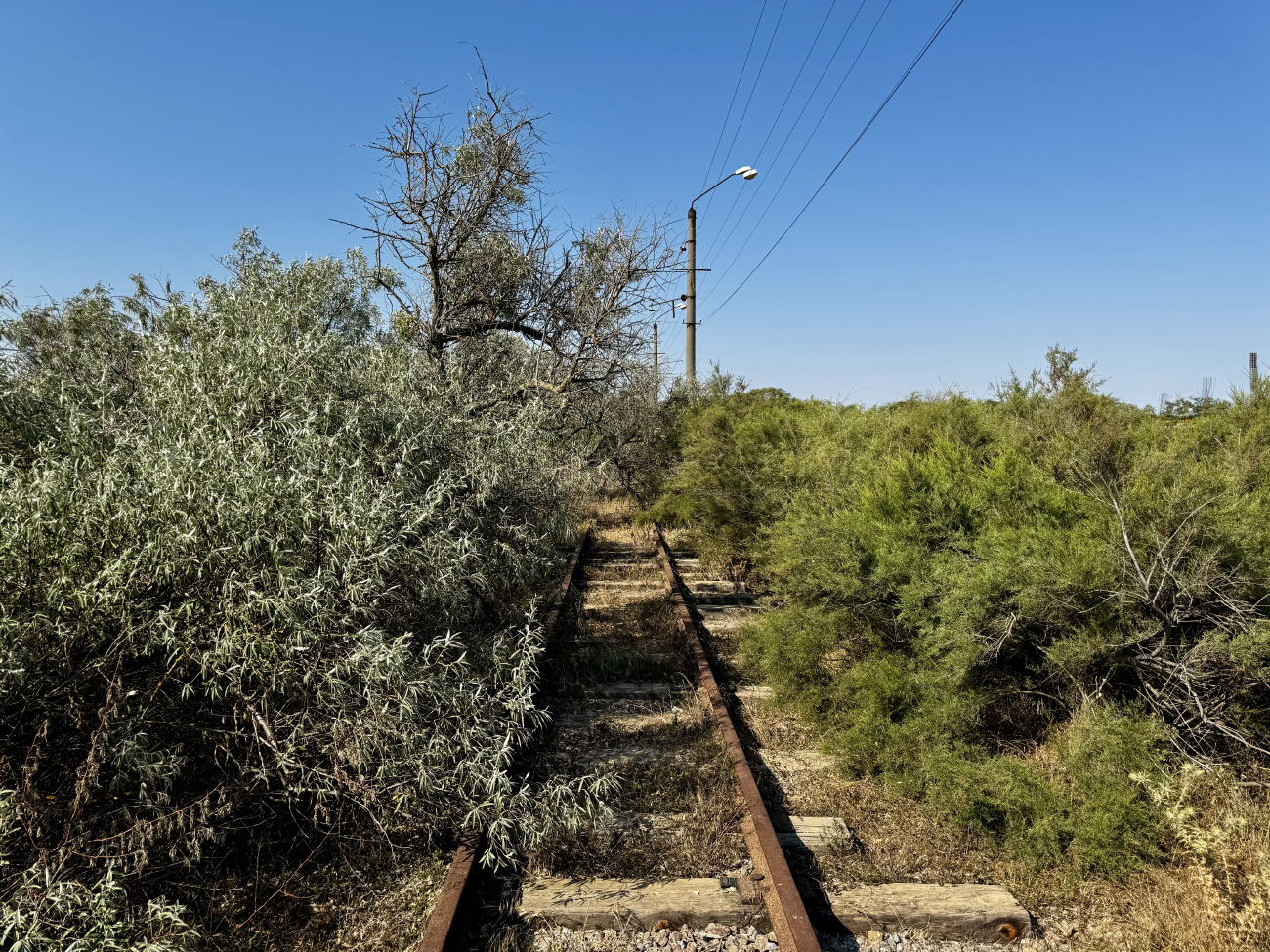 Moločne — Miscellaneous photos