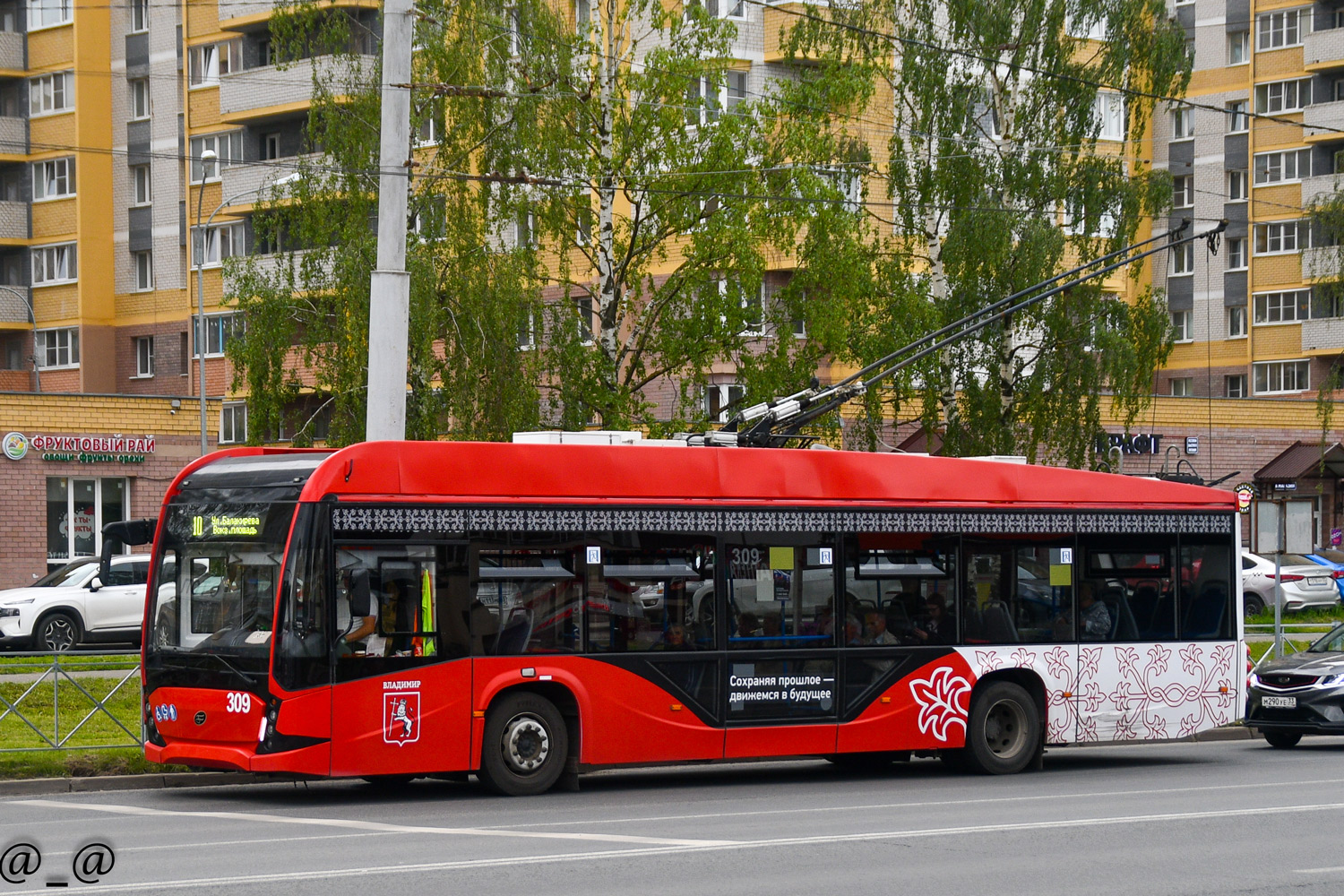 Vladimir, VMZ-5298.01 “Avangard” Br. 309 Vladimir, VMZ-5298.01 “Avangard” Br. 309
