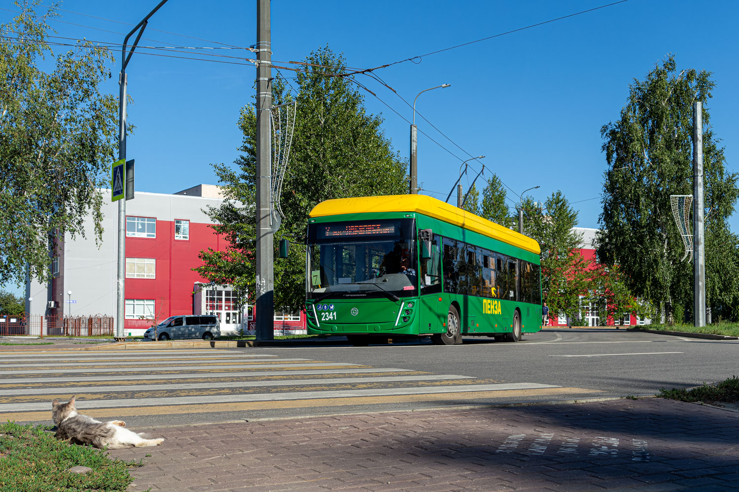 Пенза, УТТЗ-6241.01 «Горожанин» № 2341; Транспорт и животные