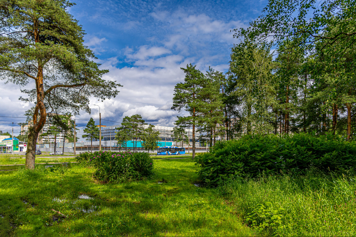 Санкт-Петербург, ВМЗ-5298.01 «Авангард» № 1076; Санкт-Петербург — Разные фотографии