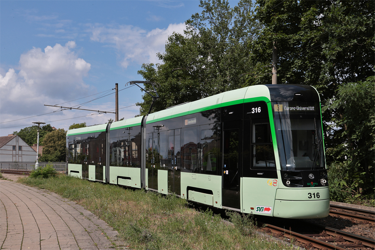 Frankfurt an der Oder, Škoda 46T ForCity Plus # 316