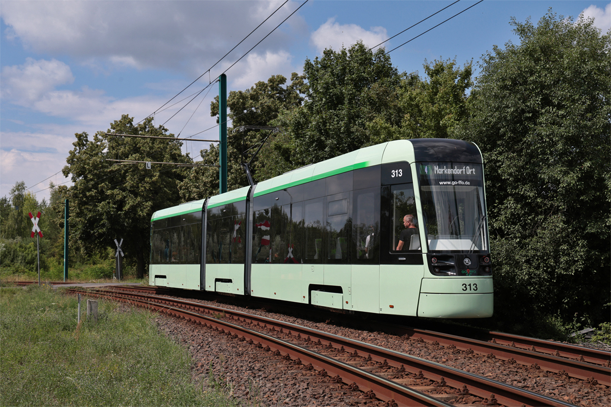 Frankfurt an der Oder, Škoda 46T ForCity Plus # 313