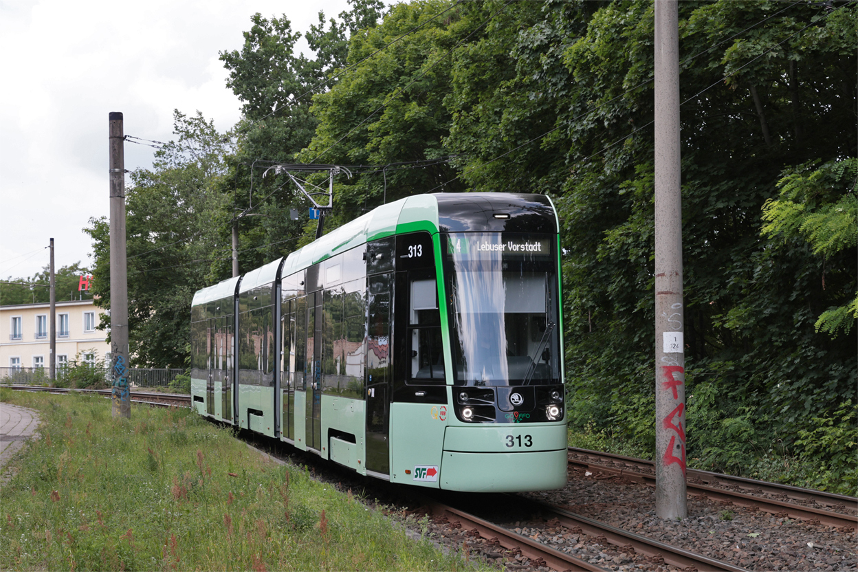 Франкфурт-на-Одере, Škoda 46T ForCity Plus № 313