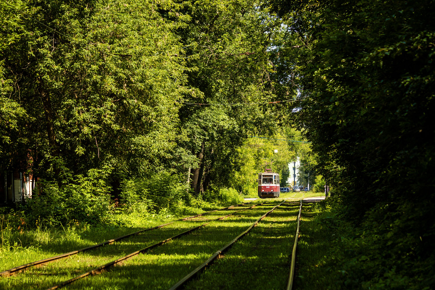 Niżny Nowogród — Tram lines