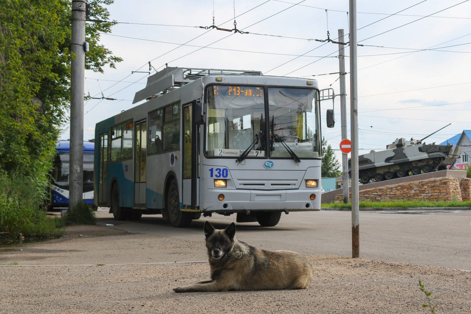 Транспорт и животные