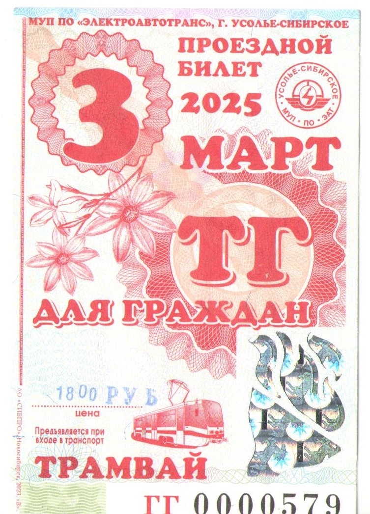 Усолье-Сибирское — Проездные документы