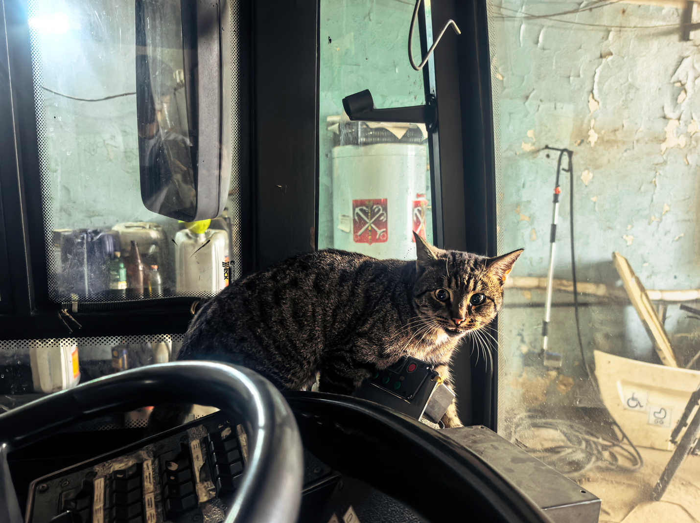 Транспорт и животные