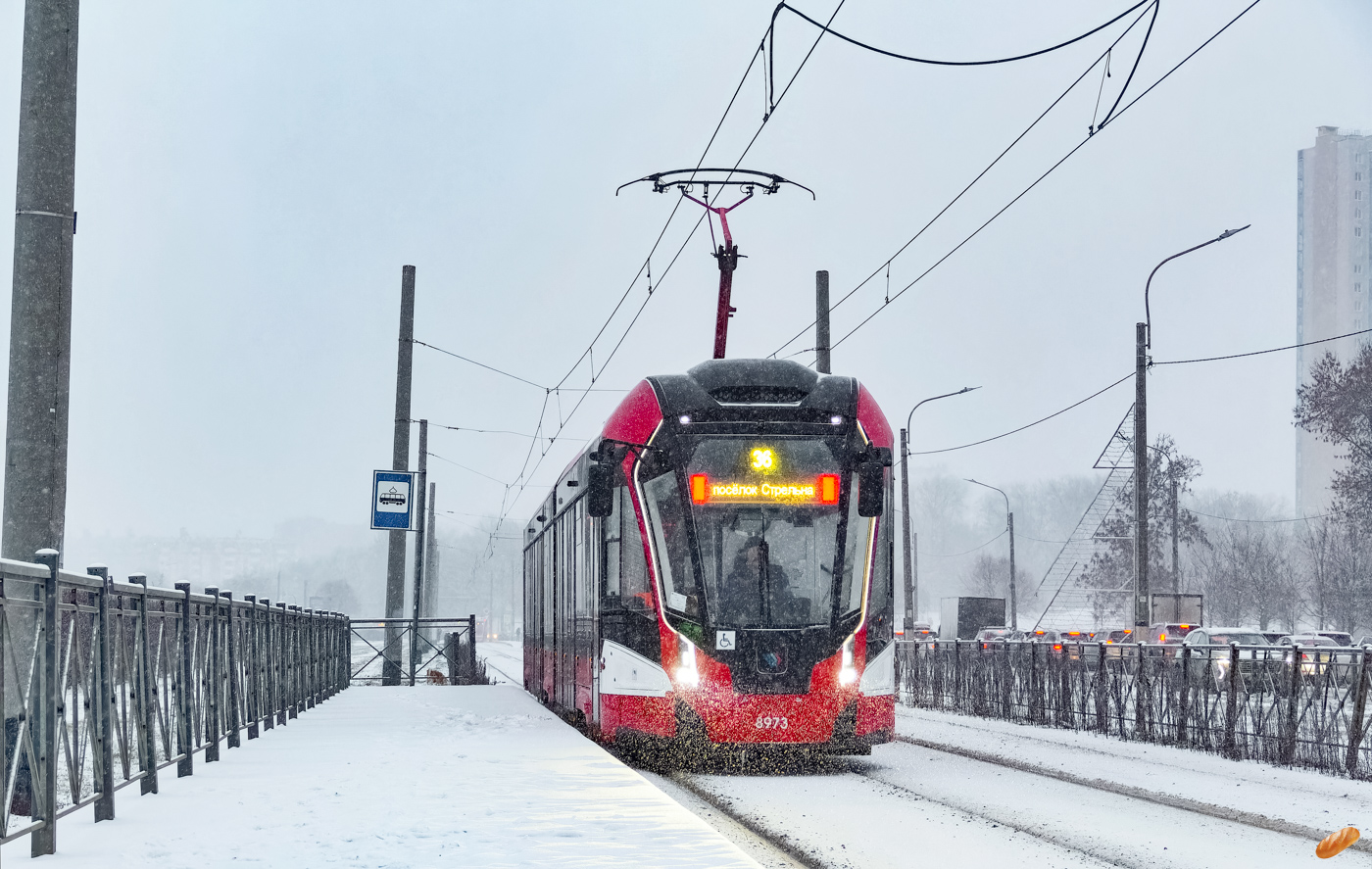 Pietari, 71-931M “Vityaz-M” # 8973