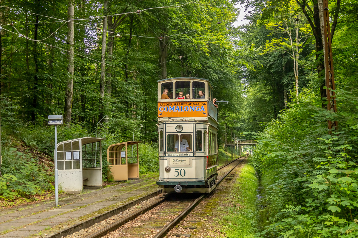 Skjoldenæsholm, 2-axle motor car č. 50