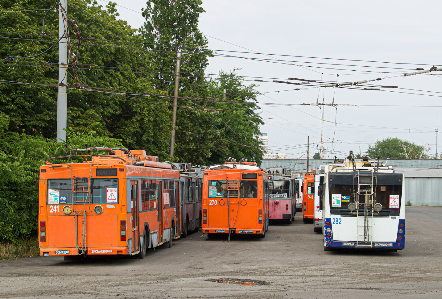 Краснодар, Тролза-5275.05 «Оптима» № 241; Краснодар, СВАРЗ-МАЗ-6275 № 282