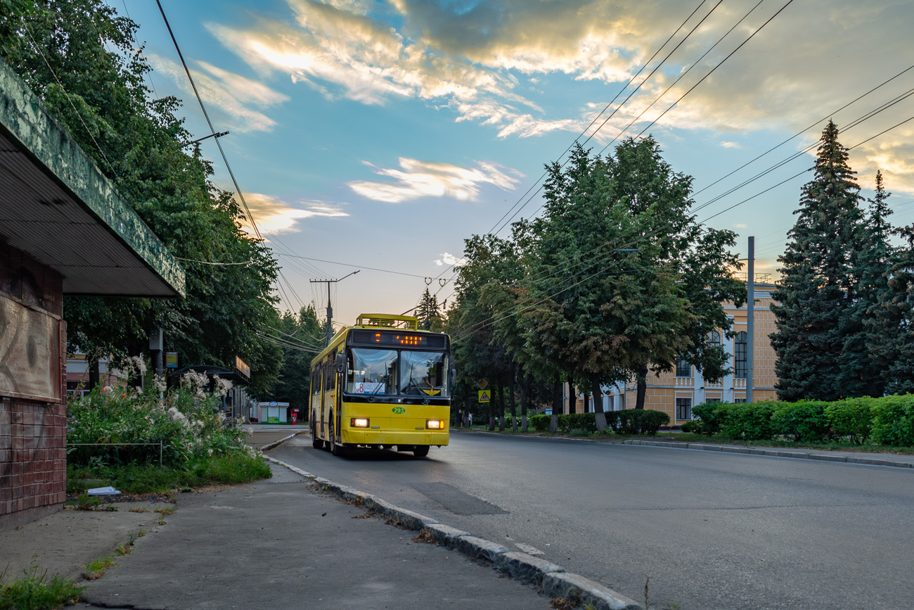 Йошкар-Ола, ВМЗ-52981 № 293
