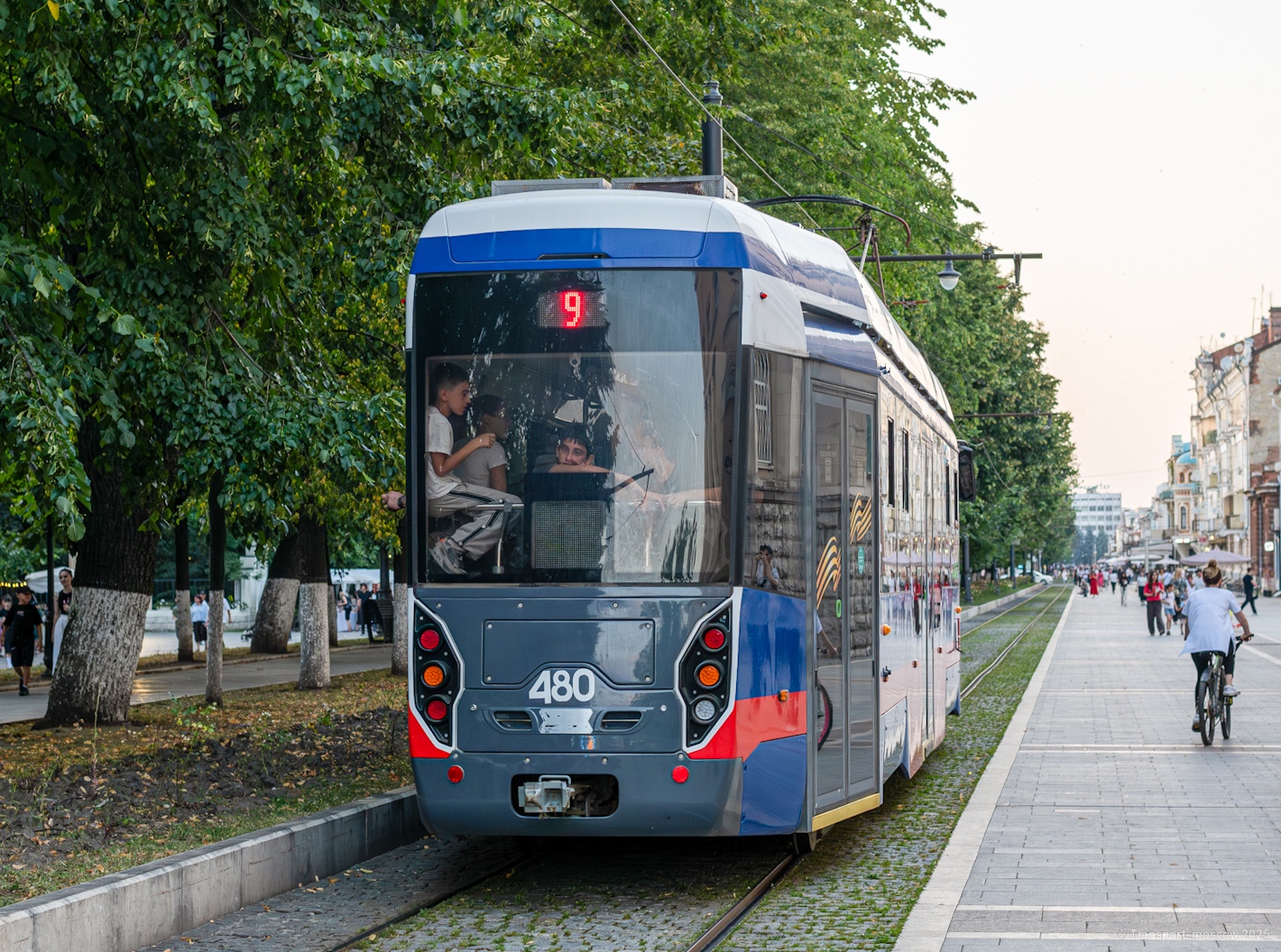 Владикавказ, 71-412 № 480