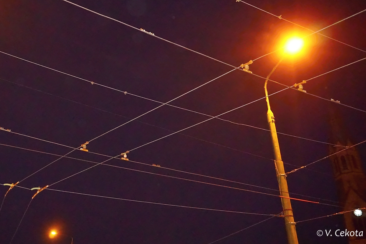 Контактная сеть, энергоснабжение и токосъём; Тимишоара — Линии и инфраструктура