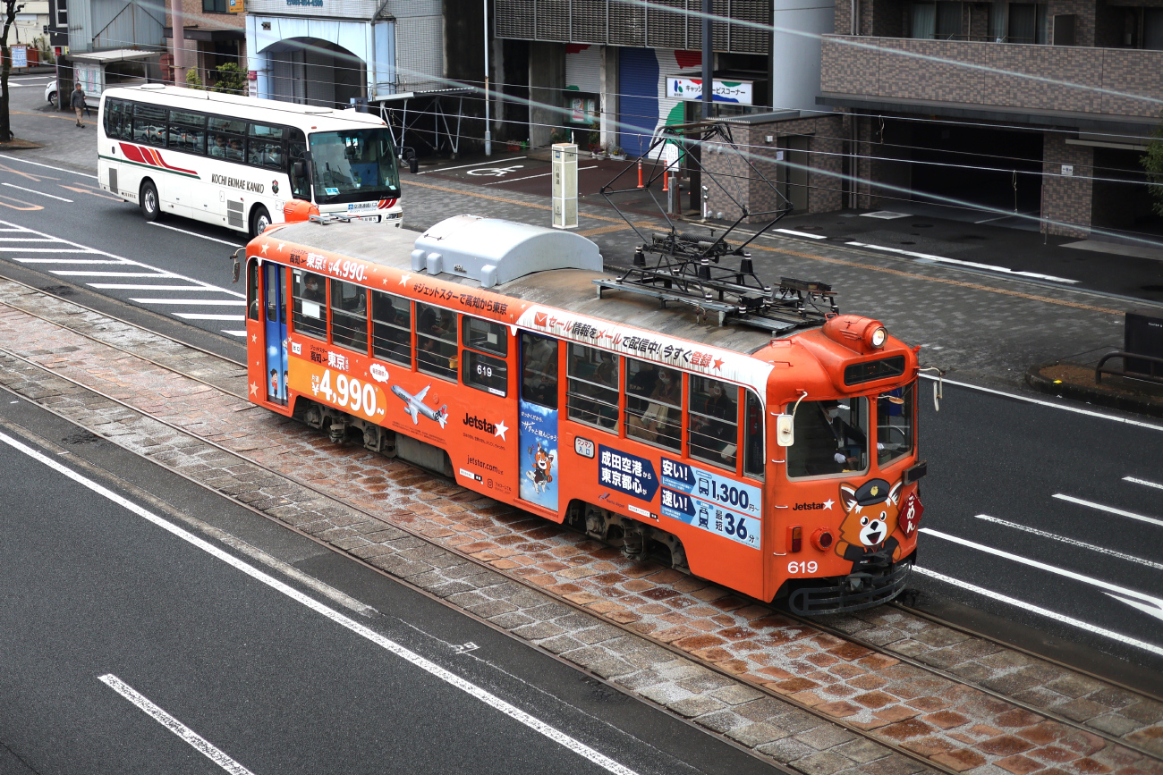 Коти, Tosaden № 619