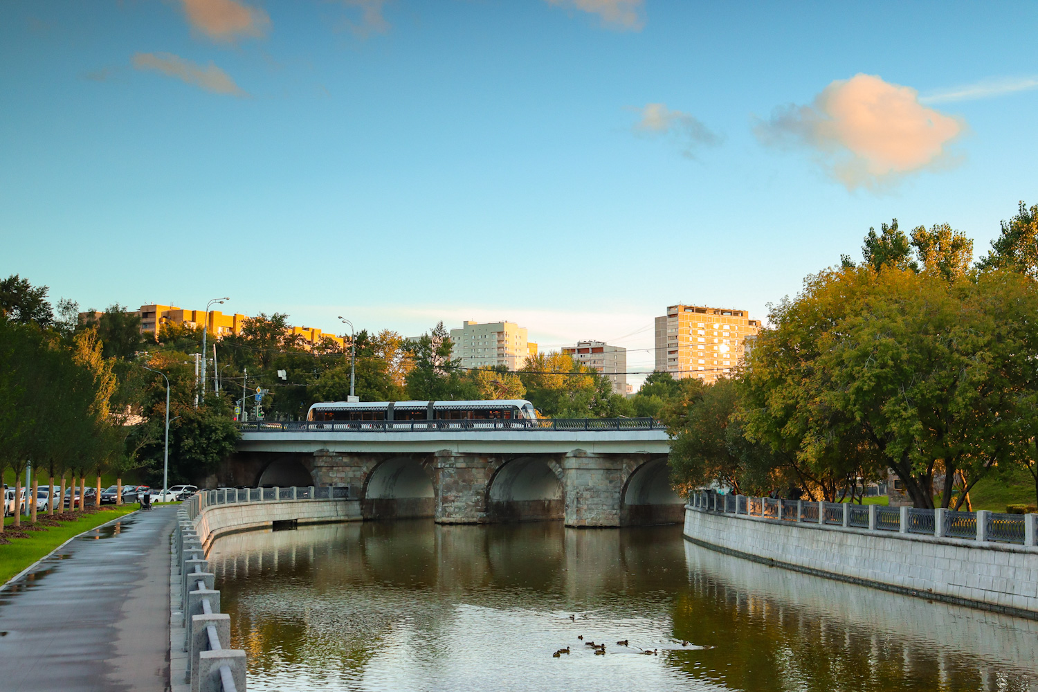 Москва — Трамвайные линии: ЦАО; Транспорт и животные