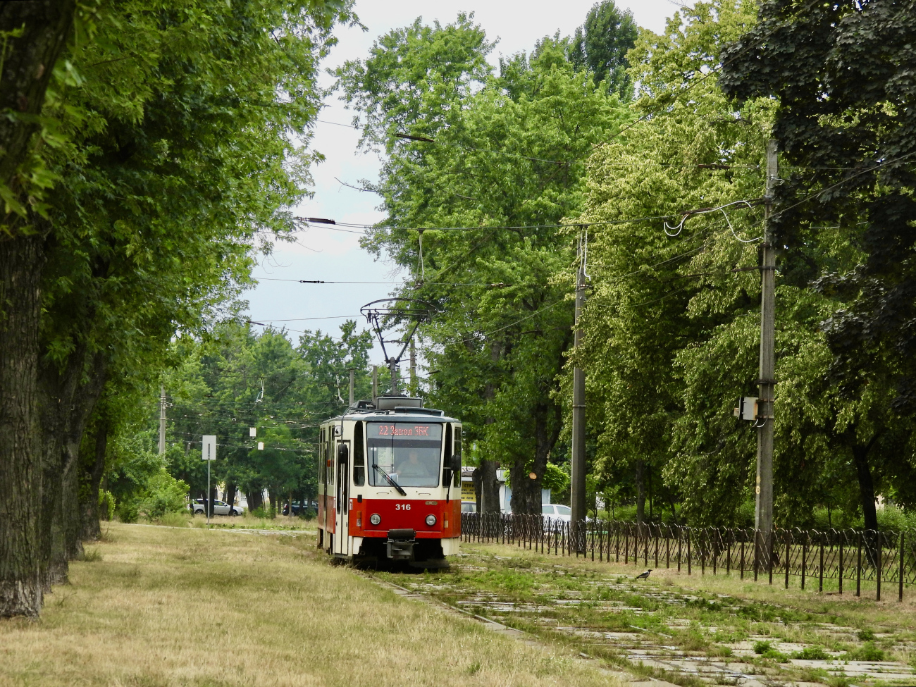 Киев, Tatra T6A5 № 316