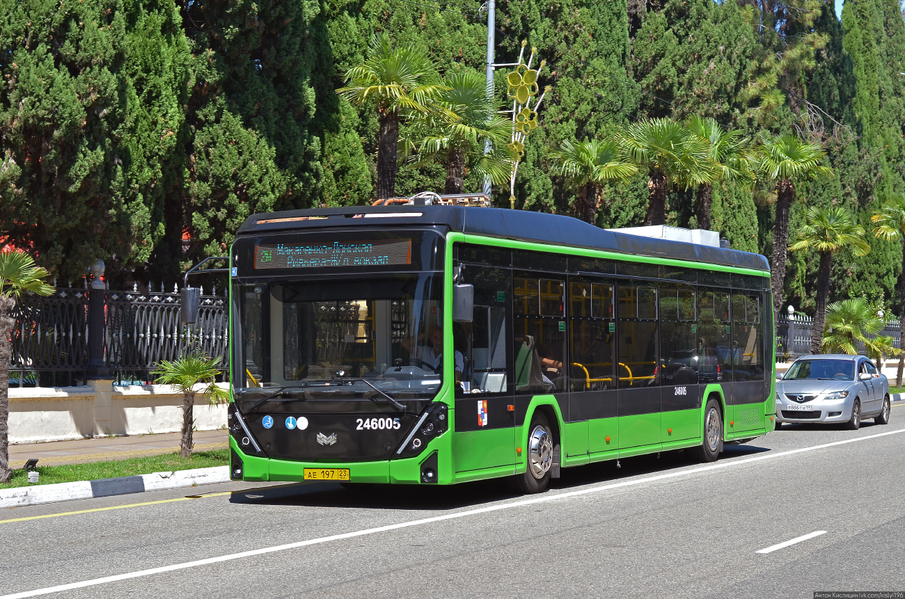 Сочі, БКМ E321 «Ольгерд» № 246005 Сочі, БКМ E321 «Ольгерд» № 246005