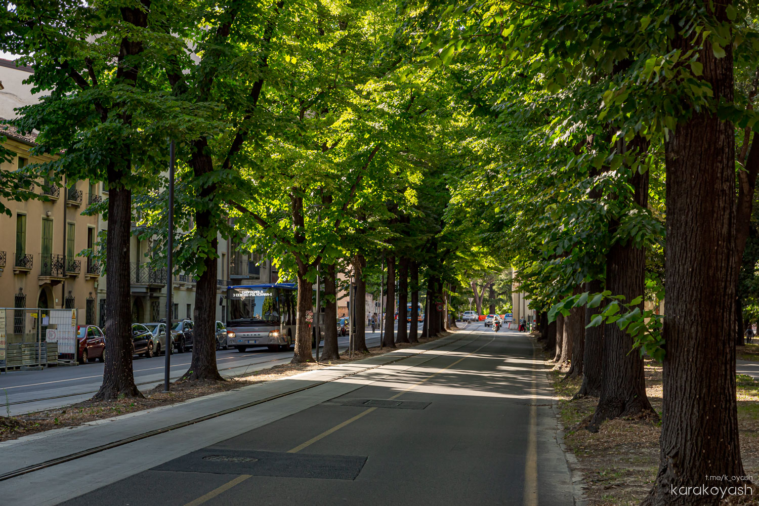 Падуя — Линии транслора и инфраструктура