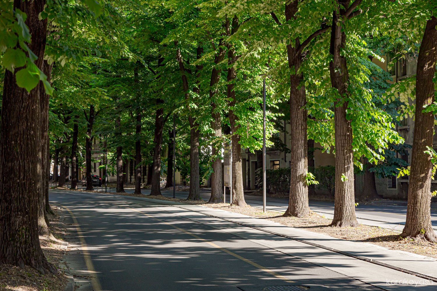 Падуя — Линии транслора и инфраструктура