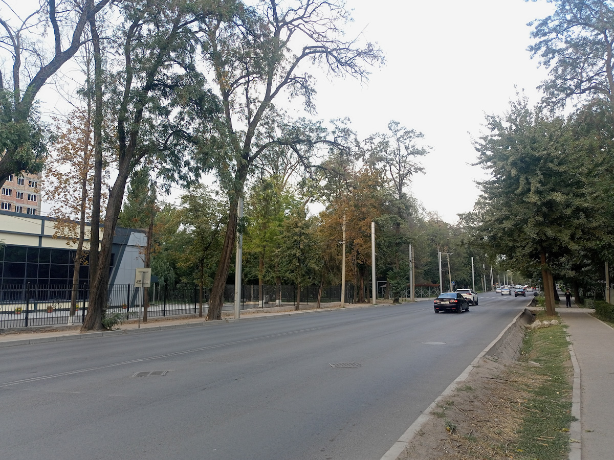 Bishkek — The elimination of trolley lines