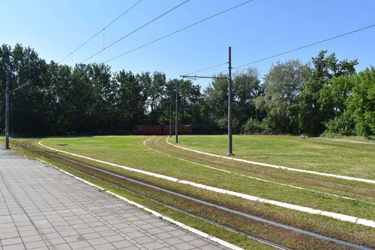 Белград — Трамвайные линии и инфраструктура