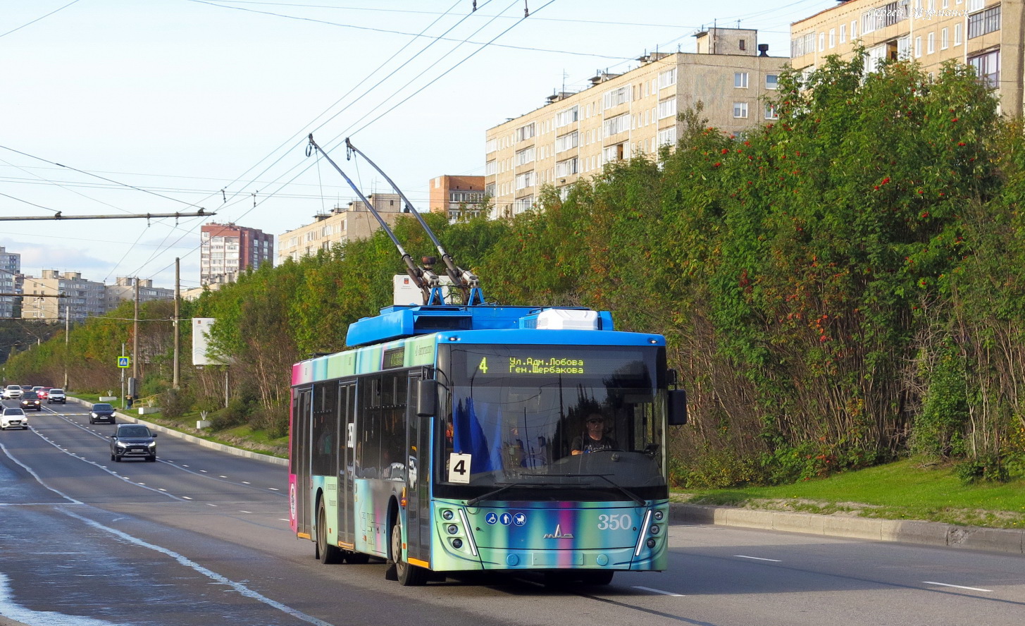 Мурманск, МАЗ-203Т20 № 350