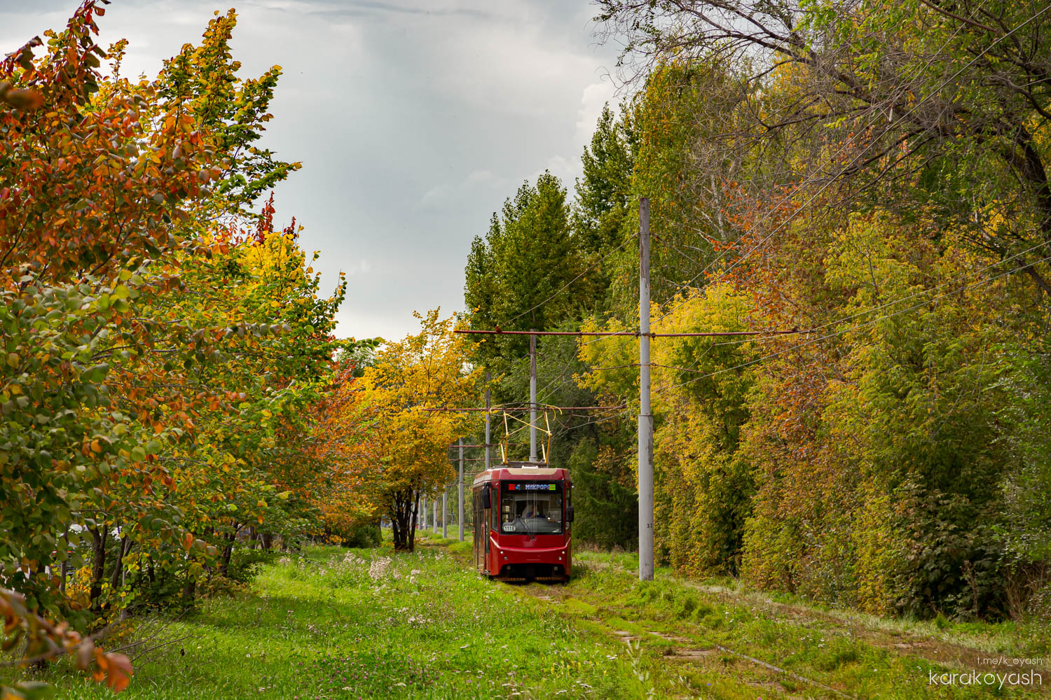 Казань, 71-407-01 № 1118