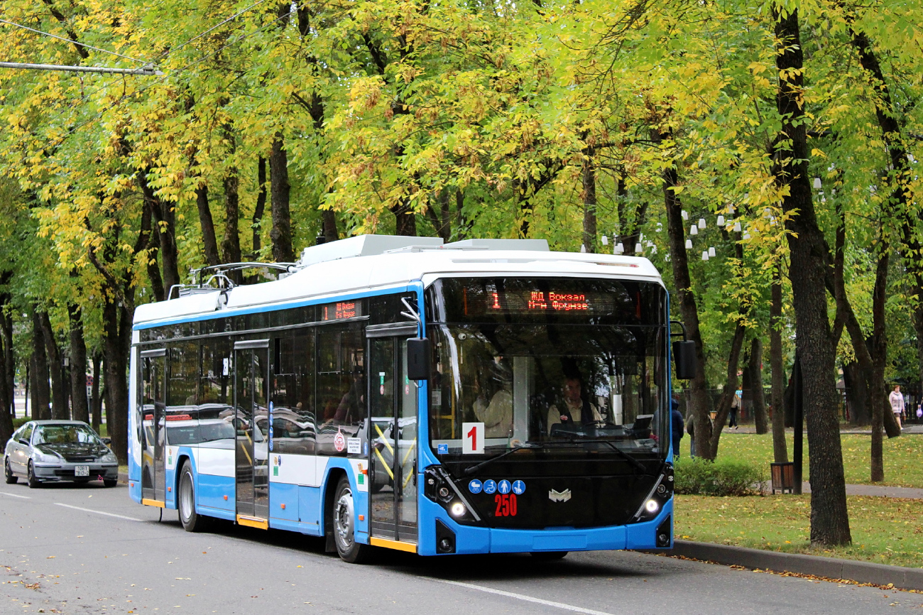 Wizebsk, BKM 32100D «Olgerd» Nr. 250