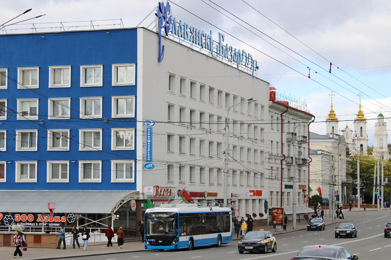 Vitebsk — Lines in use