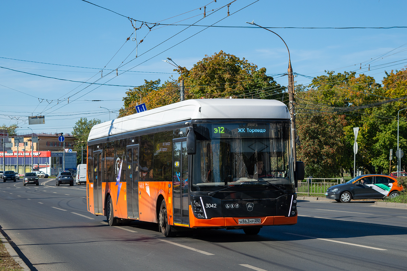 Нижний Новгород, ЛиАЗ-6274 № 3042 Нижний Новгород, ЛиАЗ-6274 № 3042