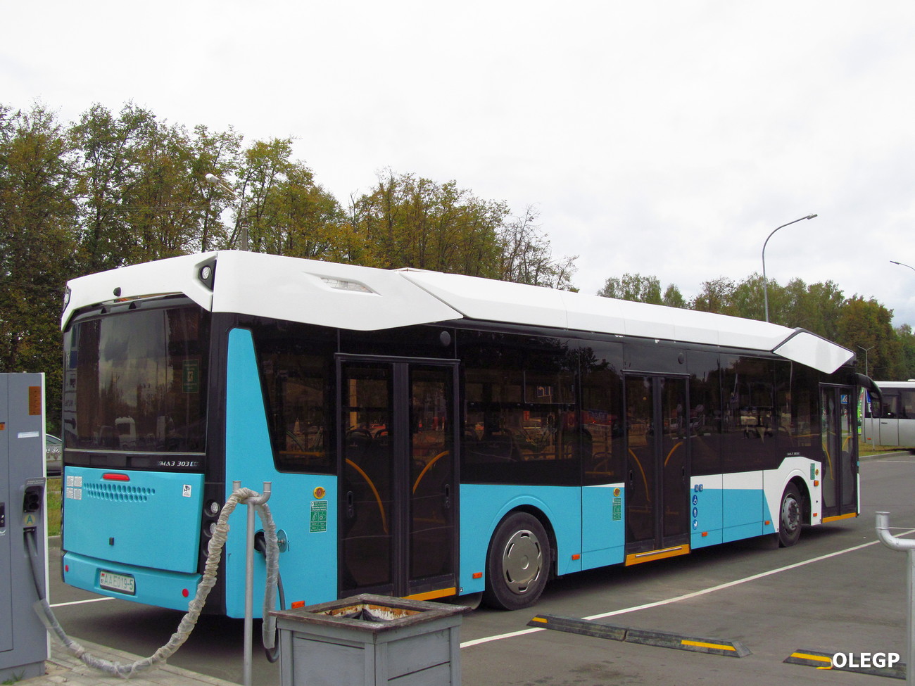 Žodzina, MAZ-303E22 nr. АА Е019-5