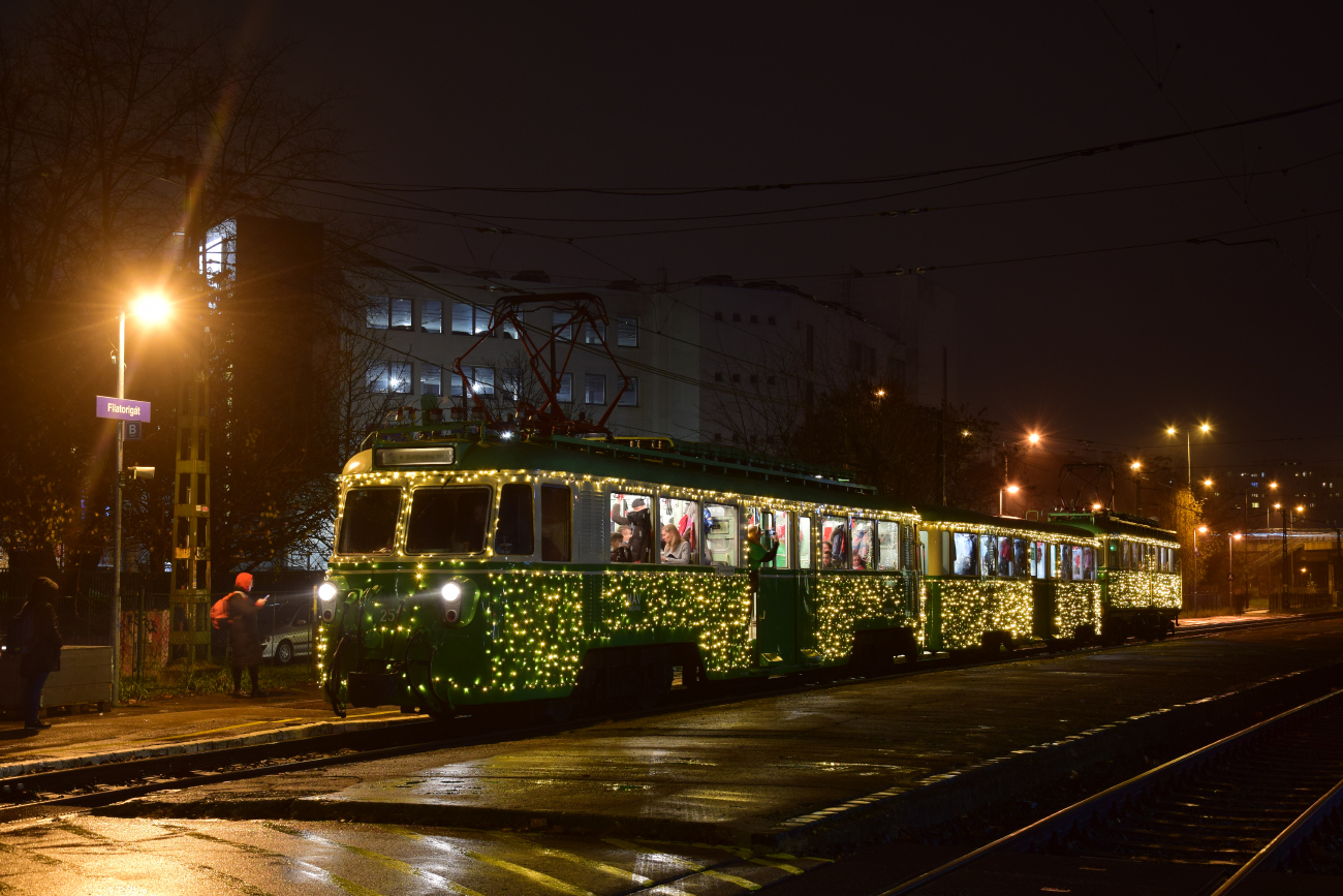 Будапешт, M VIII (DJJ) № 251 (M 251)