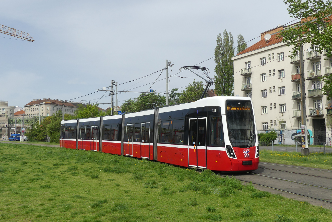 Wien, Bombardier Flexity Wien (Type D) # 339 Wien, Bombardier Flexity Wien (Type D) # 339