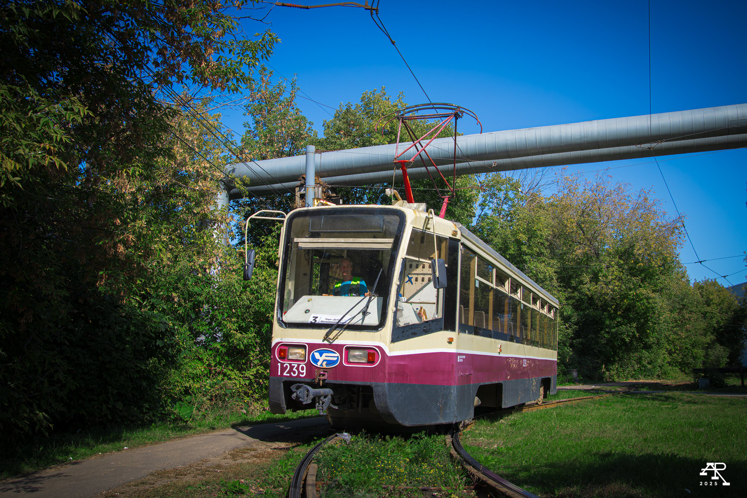 Нижний Новгород, 71-619КТ № 1239