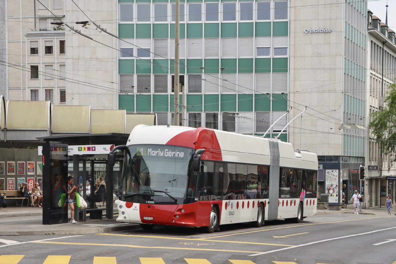 Фрибур, Hess lighTram 19 DC № 6613