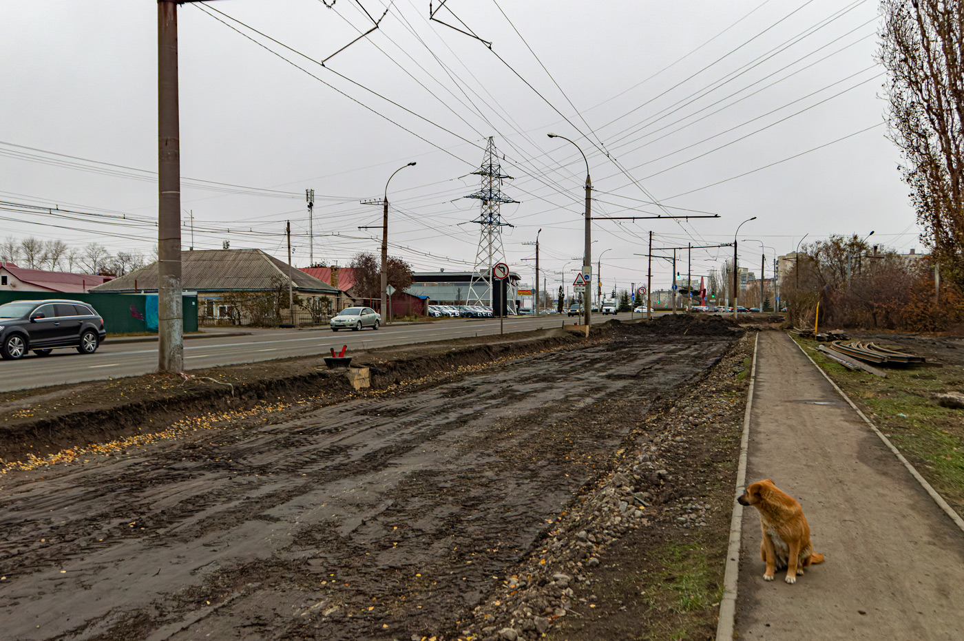 Lipieck — Repair of the tram line under the concession agreement; Transport and animals