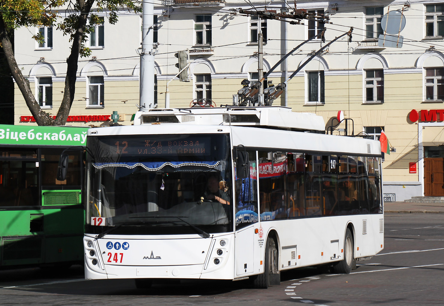 Витебск, МАЗ-203Т70 № 247