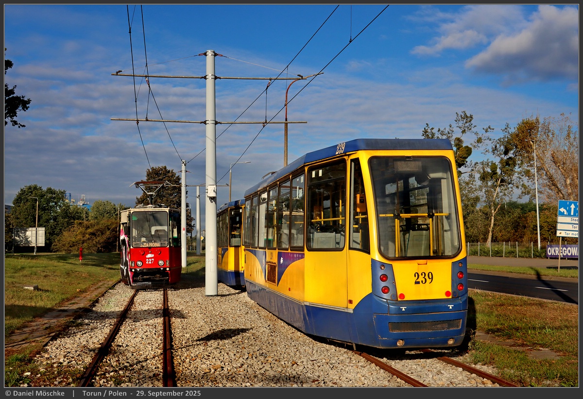 Торунь, Konstal 805NaND № 239