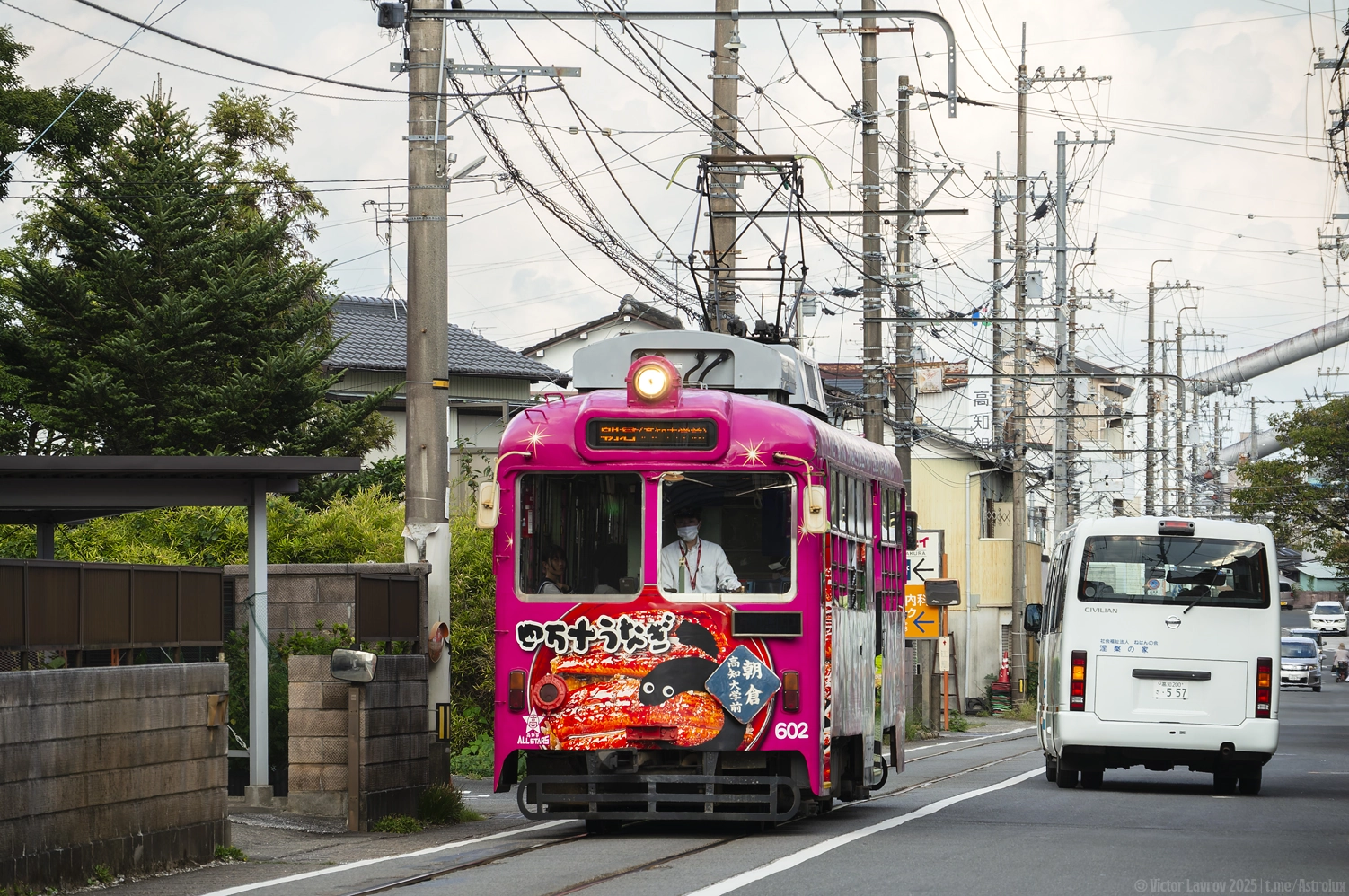 Kochi, Tosaden # 602