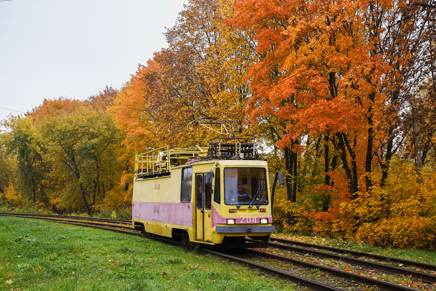 Kolomna, TS-49M č. 204