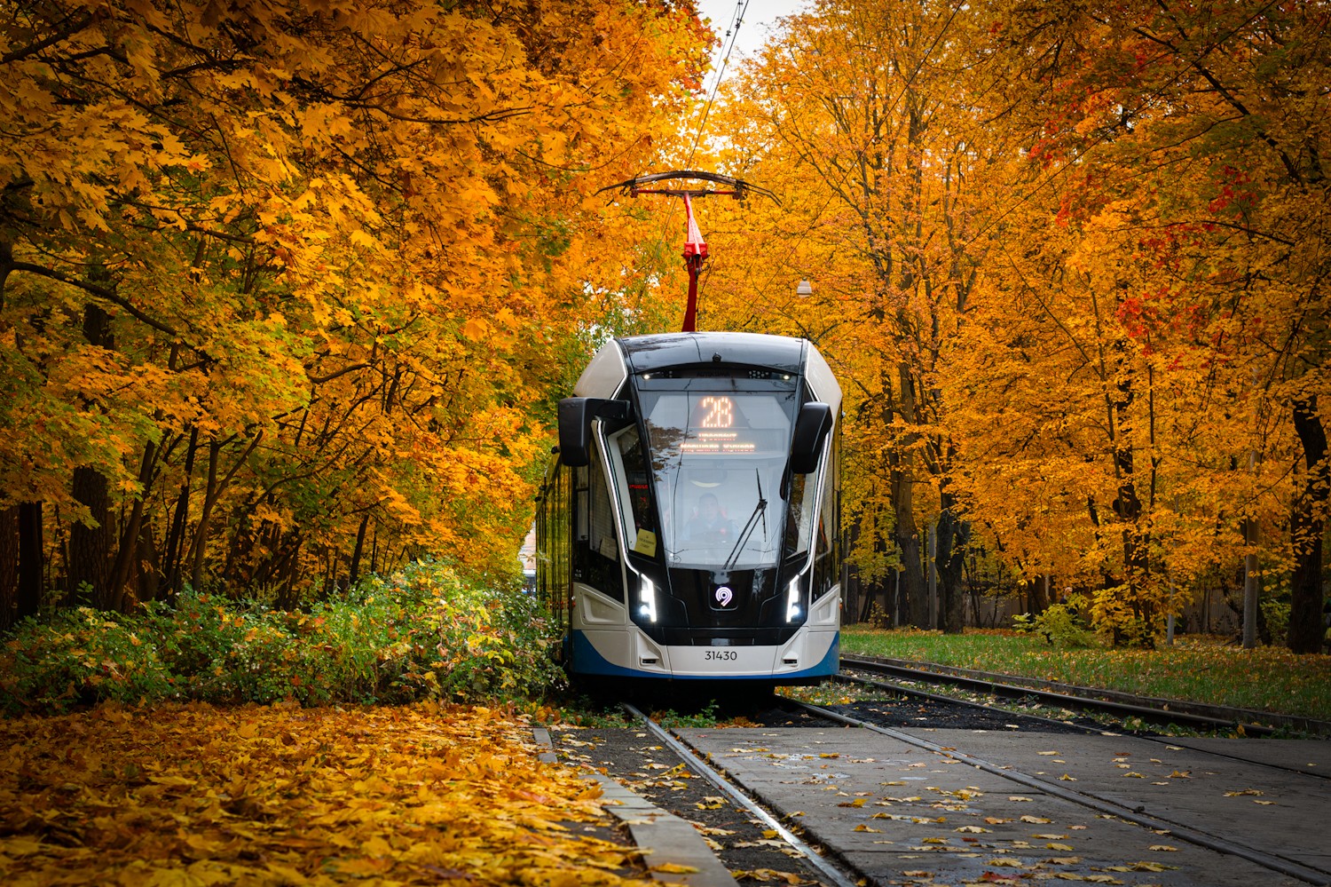 Москва, 71-931М «Витязь-М» № 31430 Москва, 71-931М «Витязь-М» № 31430