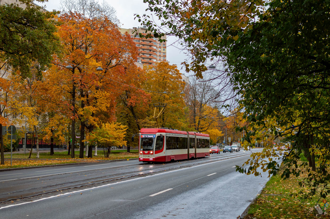 Санкт-Петербург, 71-631 № 5218