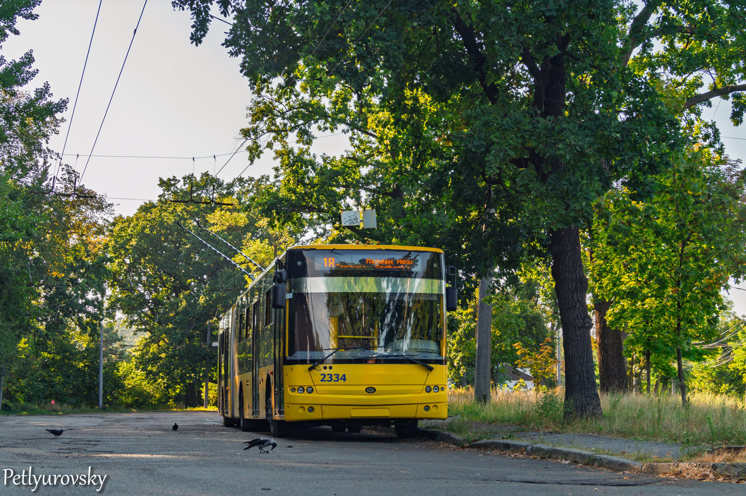 Kijevas, Bogdan Т90110 nr. 2334; Transport and animals